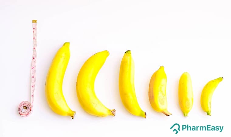 Penis Size: Myths, Medical Facts, and What Works