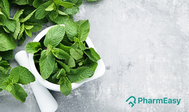 Pudina (Mint): Health Benefits, Uses, Side Effects & More