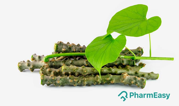 Guduchi (Giloy): Ayurvedic Benefits, Uses & Side Effects