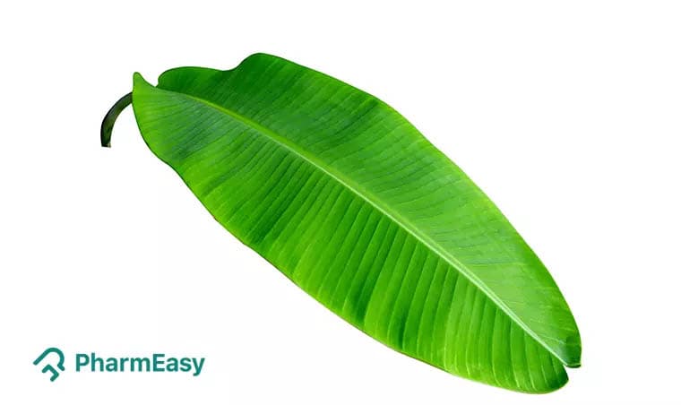 Banana Leaf: Health Benefits, Uses & Side Effects