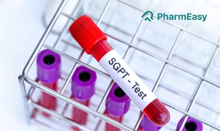 एसजीपीटी टेस्ट: जानें नॉर्मल रेंज, खर्च और महत्वपूर्ण जानकारी