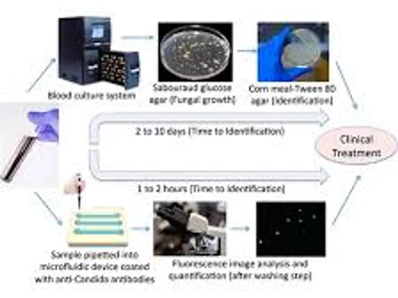 Fungal Blood Infections: The Paired Test Approach Explained