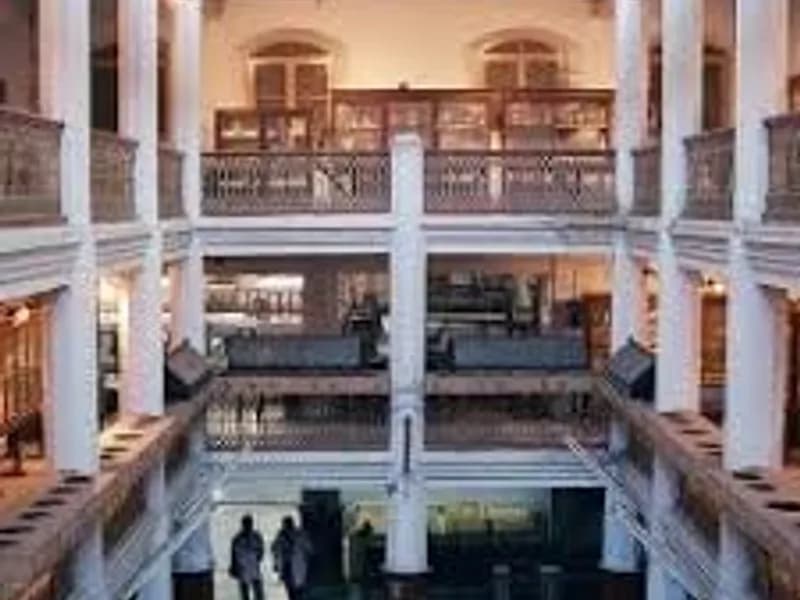 Gallery 3