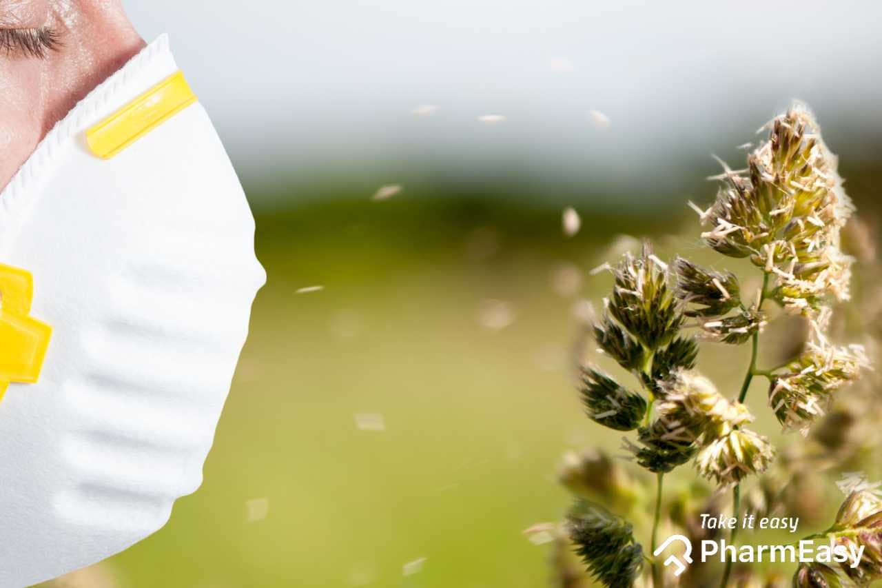 Beat Seasonal Allergies: 8 Effective Home Remedies