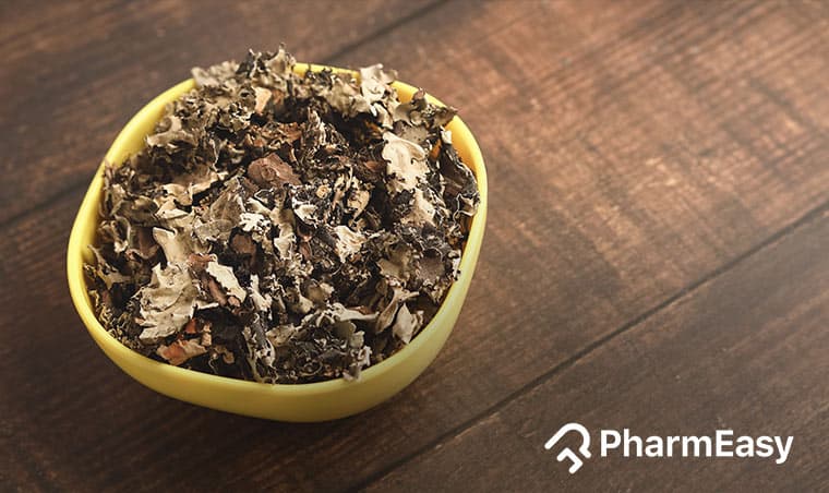 Kalpasi Stone Flower: Health Benefits, Uses & Side Effects