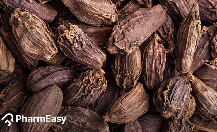 Black Cardamom: Uses, Benefits, Side Effects & Health Facts
