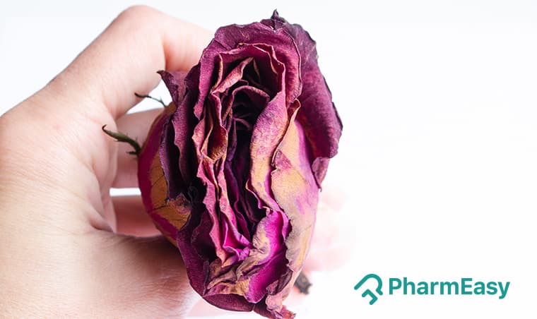 Natural Relief: Effective Home Remedies for Vaginal Dryness
