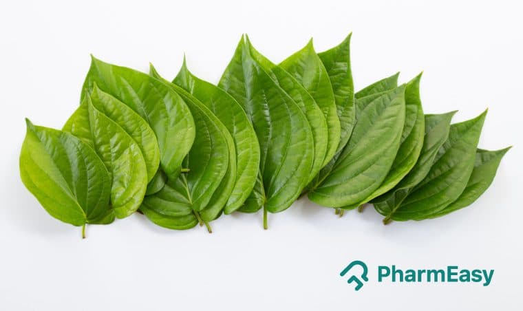 Betel Leaves (Paan): Health Benefits, Uses & Side Effects