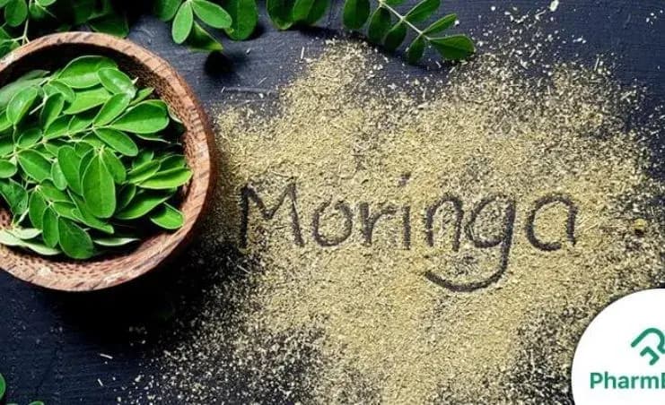 Moringa Leaves: Health Benefits & Nutritional Powerhouse