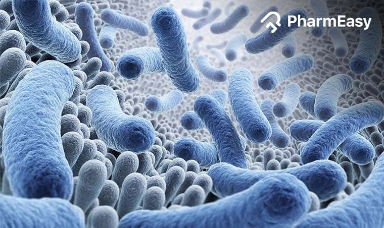 Bacterial Pneumonia: Causes, Symptoms, and Treatment in India