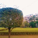 Somaiya Hospital