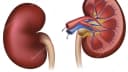 Dr Tanmay Mukherjee Clinic