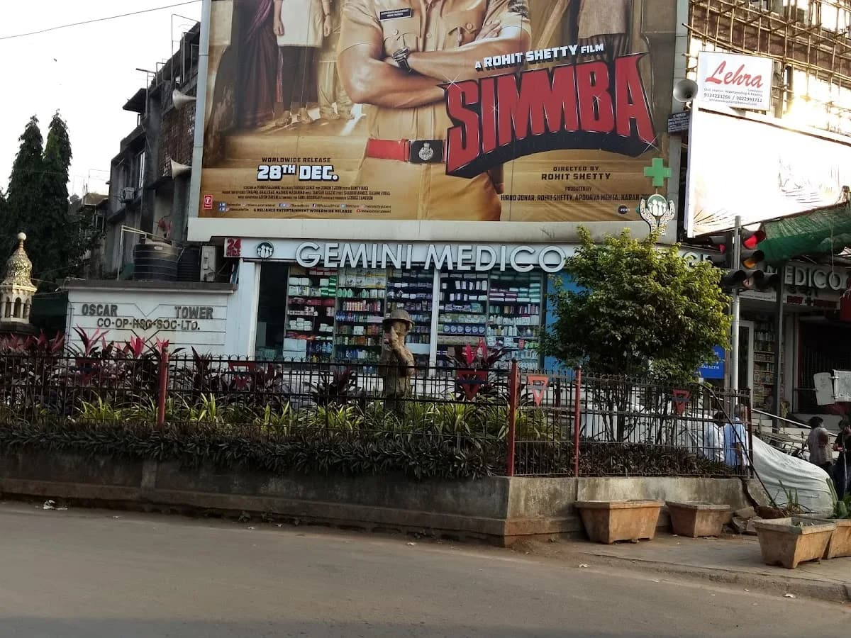 Gemini Medico image 1