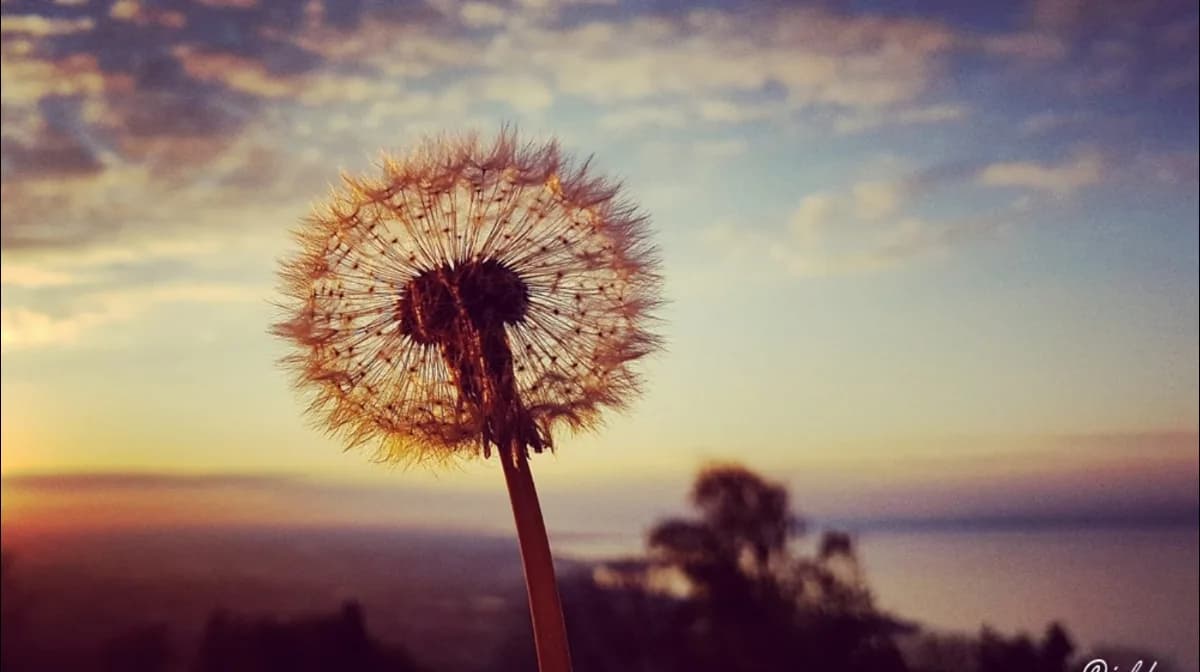 Hajra Medical Stores Pvt Ltd