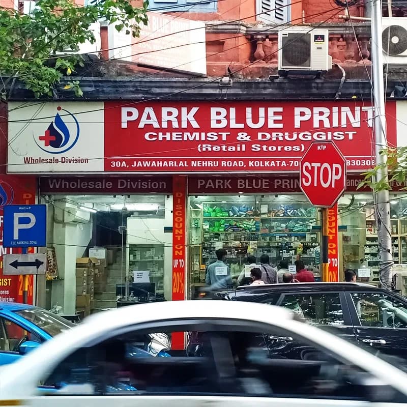 Park Blue Print