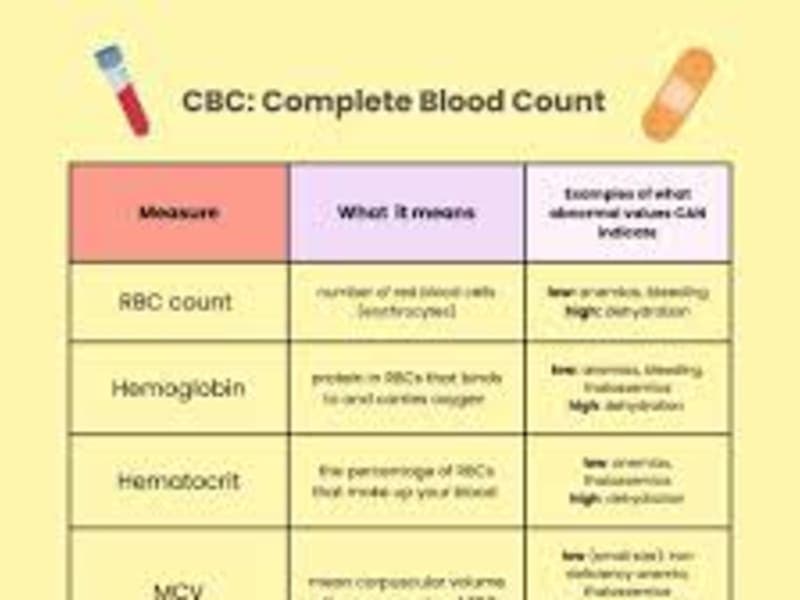 CBC Blood Test: Normal Range, Uses & Results Guide